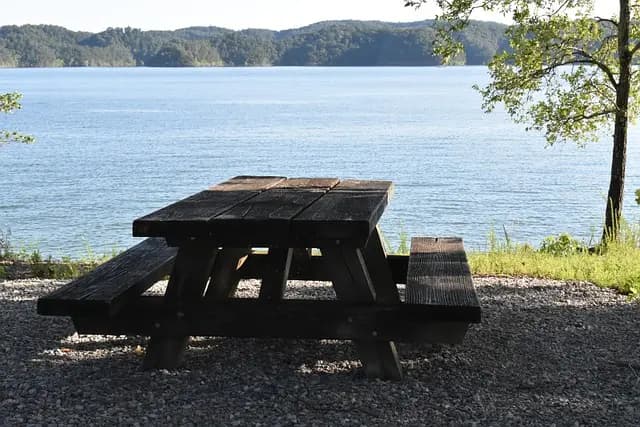 Best Outdoor Picnic Sets