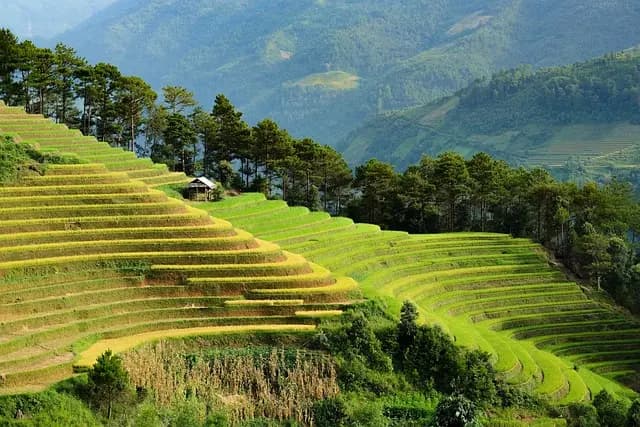 Best Eco-Friendly Travel Accessories Buying Guide
